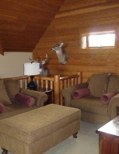 Cozy cabin living room with wooden interiors and a mounted deer head decoration.